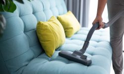 close up of man's hand cleaning couch using vacuum cleaner at home